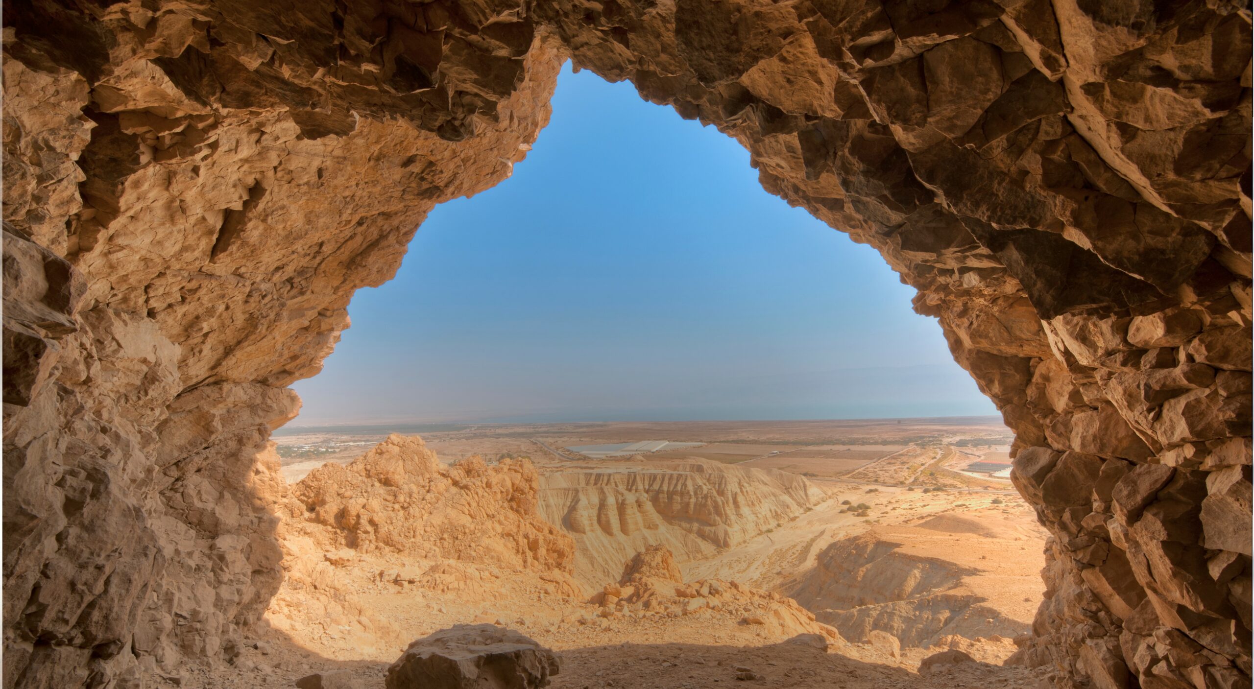 Desert landscape