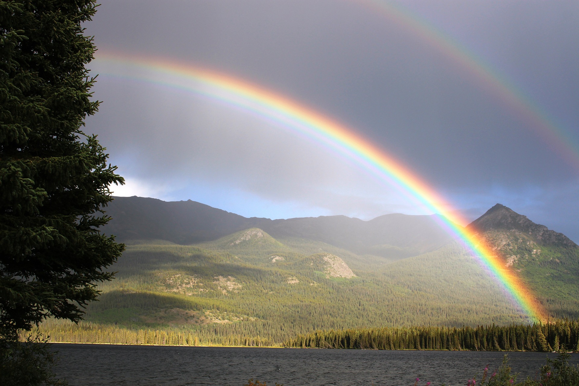 rainbow noah's ark