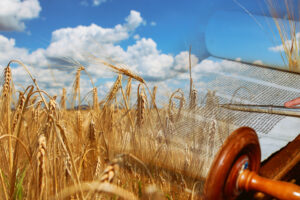 Shavuot
