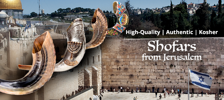shofars-2021-cat-m