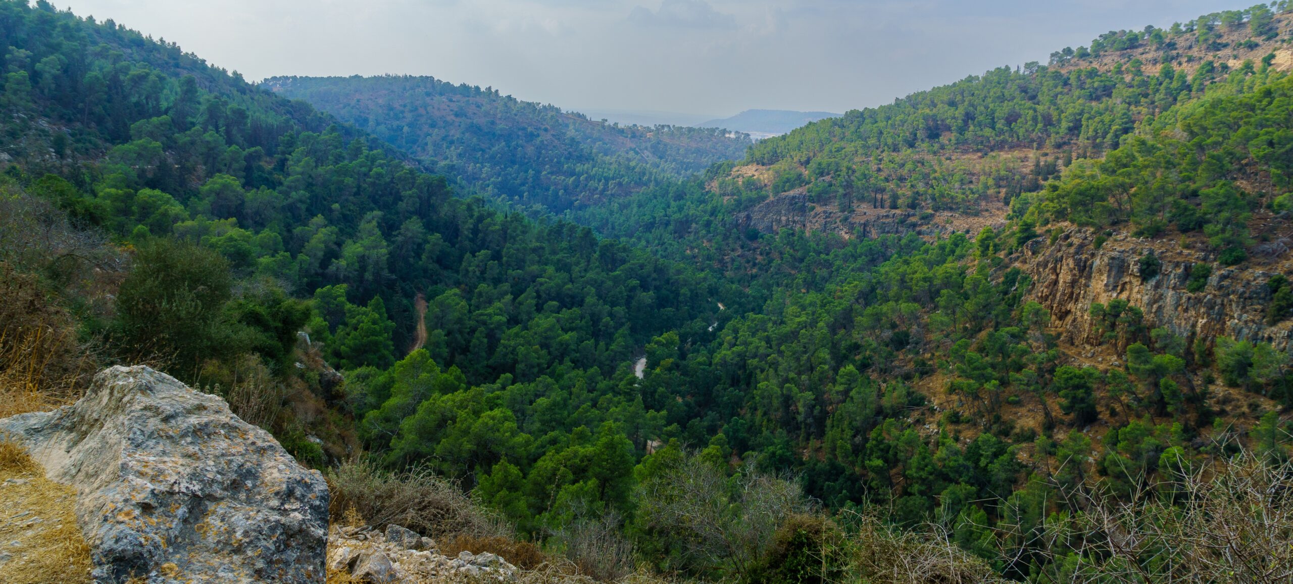 Israel Landscape