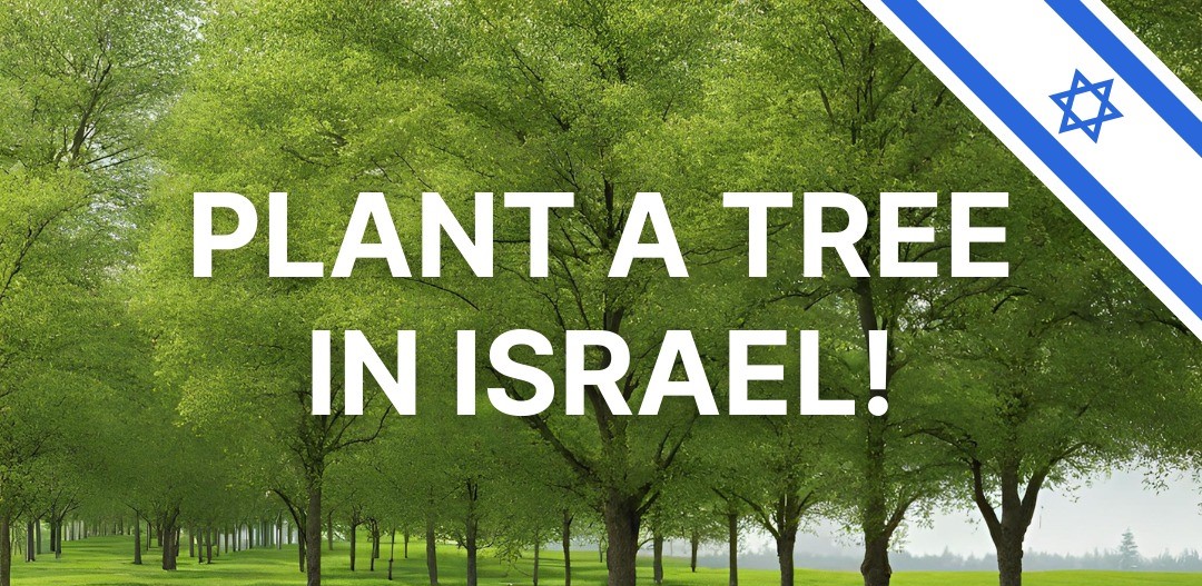 plant-tree