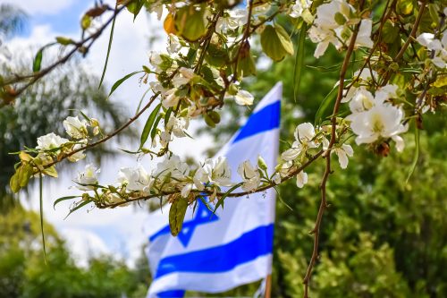 israeli-flag-g3478e71f4_1920